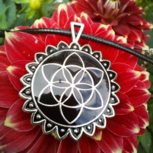 Emf Protection: Sacred Geometry - Seed of Life - Pointed