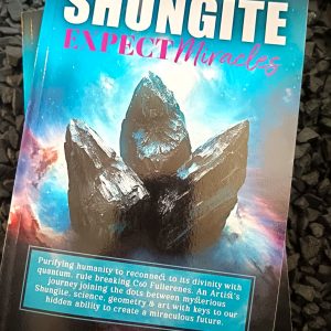 SHUNGITE:Expect Miracles (Digital Download) Inspiring Information, Transformations & More!
